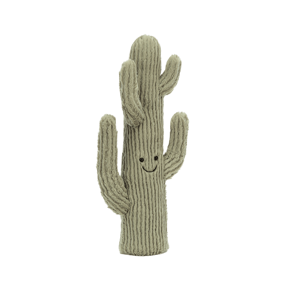 amuseable cactus